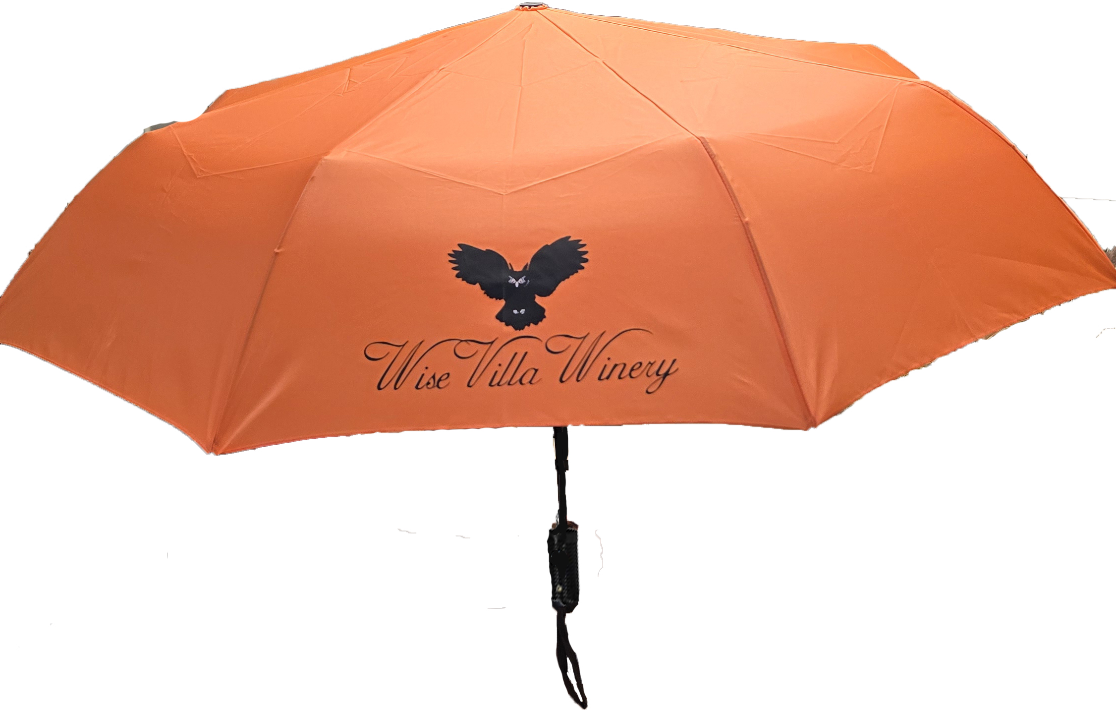 Product Image for Logo Umbrella
