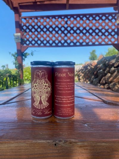Product Image for Canned 2020 Pinot Noir (4-pack)